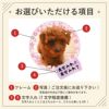 当店の名入れ 名前入り 商品にてお選びいただける項目の紹介です。お誕生日、還暦祝いなど、用途に合わせてデザインをお選びいただけます。